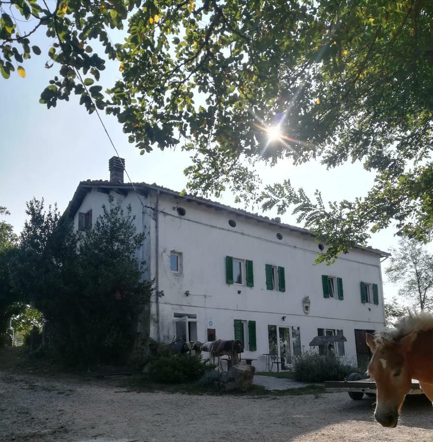 Monte Termine Country House Rioveggio Exteriér fotografie
